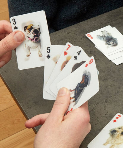 CCYJS69014  3D Dog Cards