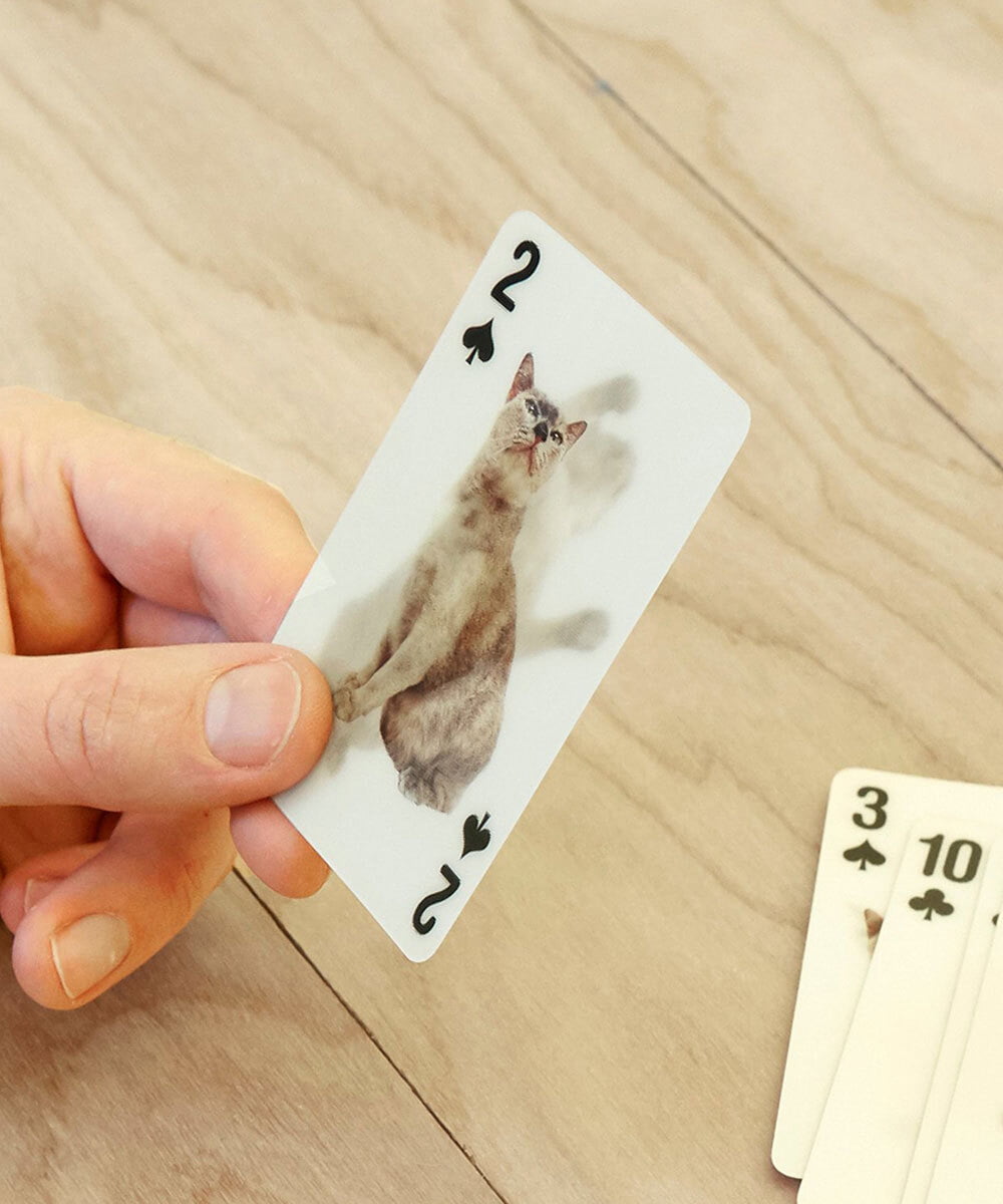 3D Cat Cards(その他のグッズ・小物) | LIFE STYLE SELECTION(ライフ