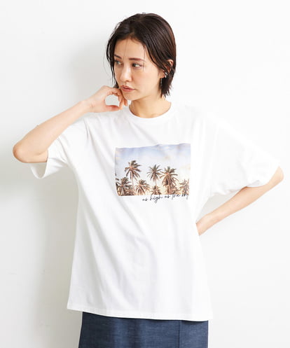 F6KGS23120  [小さいサイズ]パームツリーフォトプリントTシャツ